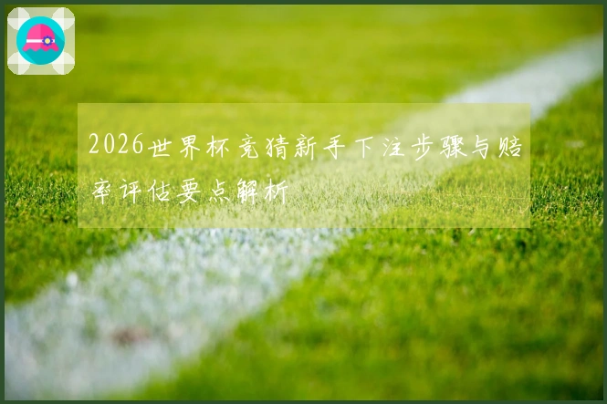 2026世界杯竞猜新手下注步骤与赔率评估要点解析