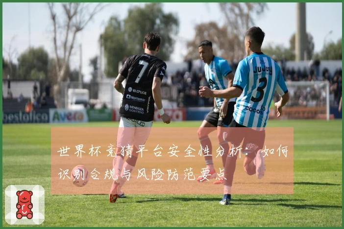 世界杯竞猜平台安全性分析：如何识别合规与风险防范要点