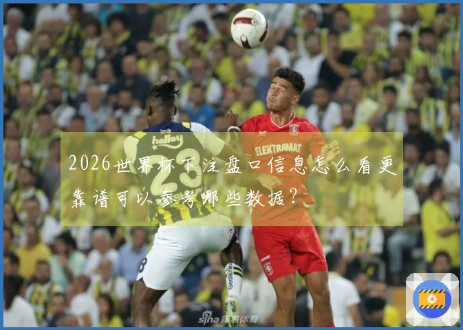 2026世界杯下注盘口信息怎么看更靠谱可以参考哪些数据？