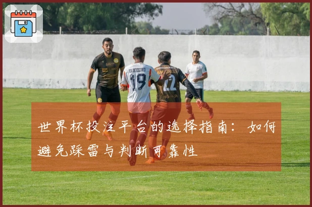 世界杯投注平台的选择指南：如何避免踩雷与判断可靠性