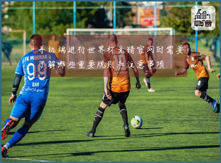 手机端进行世界杯竞猜官网时需要了解哪些重要规则和注意事项