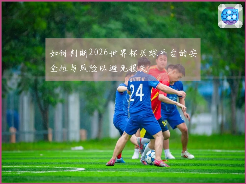 如何判断2026世界杯买球平台的安全性与风险以避免损失