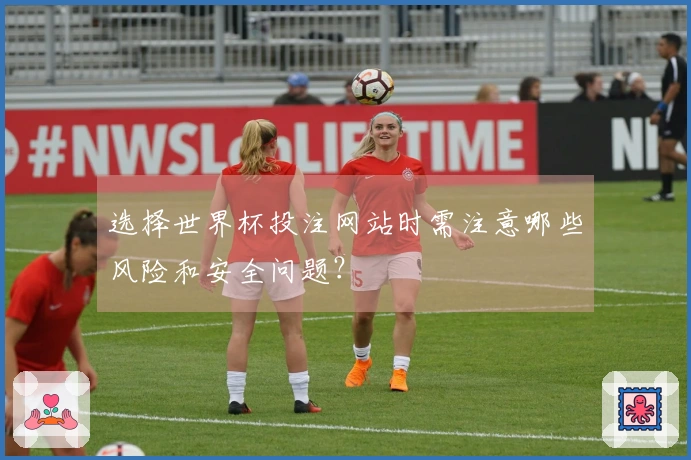 选择世界杯投注网站时需注意哪些风险和安全问题？