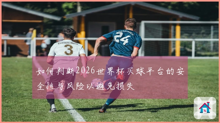 如何判断2026世界杯买球平台的安全性与风险以避免损失
